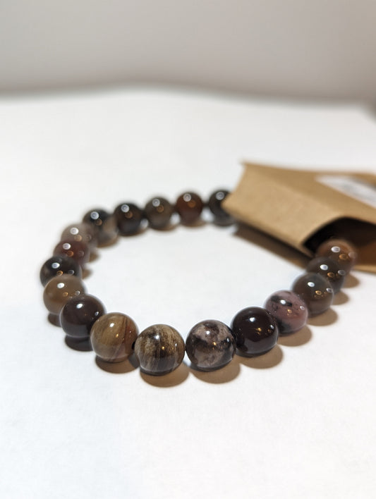 Petrified Wood 8mm Bracelet