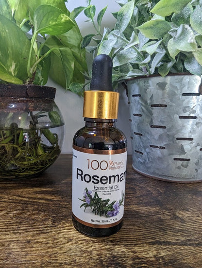 Rosemary Essential Oil 1 fl oz